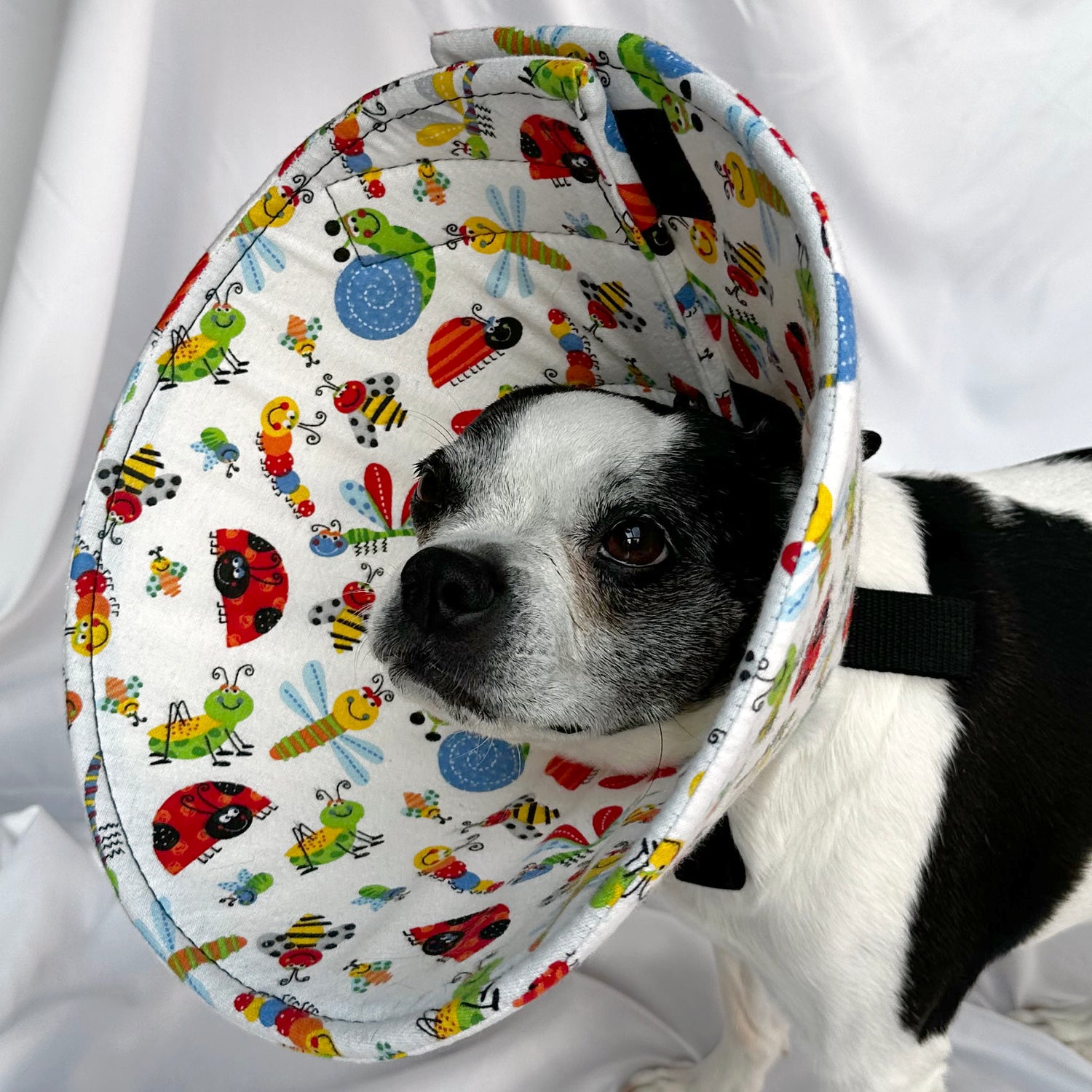 Bright Bugs - Flannel & Foam Soft Dog Cone