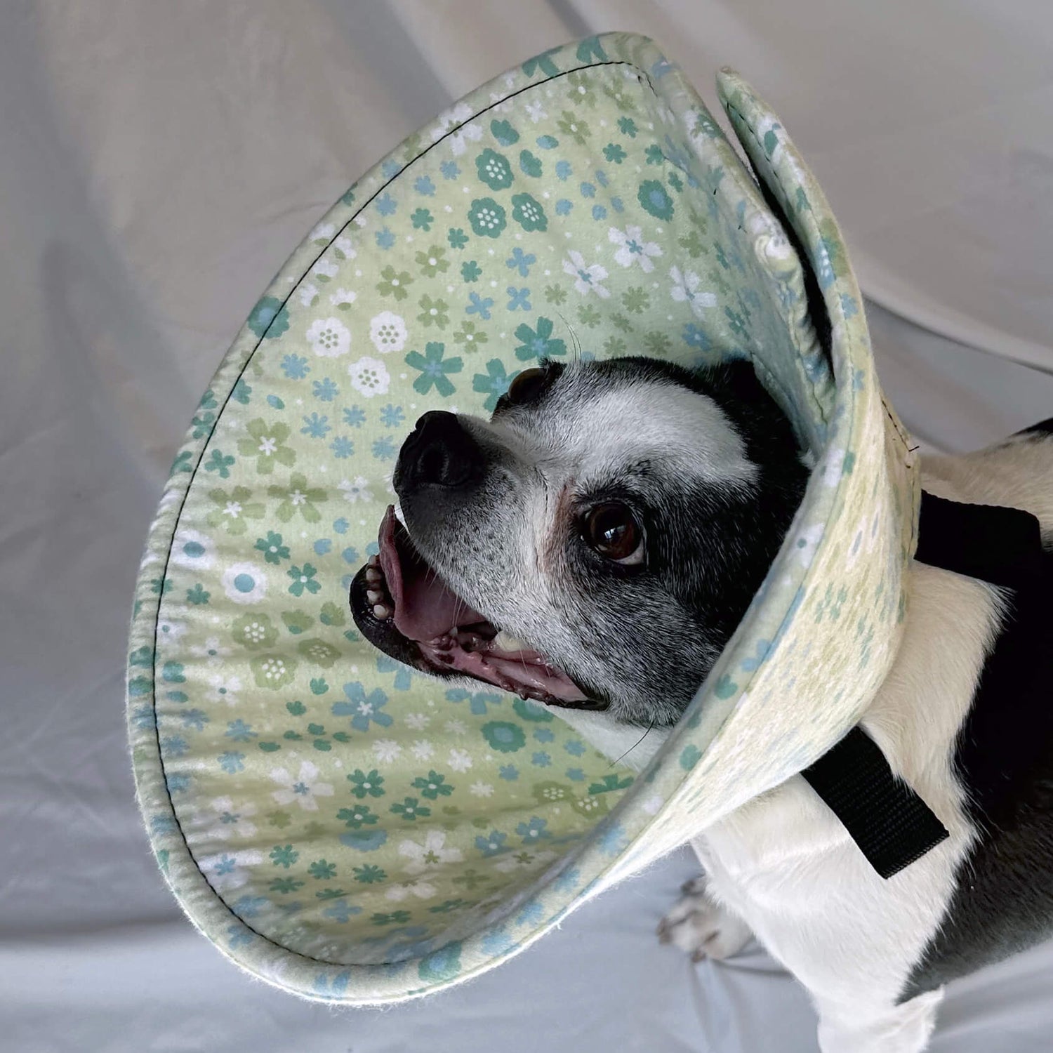 Green Flowers - Flannel & Foam Soft Dog Cone