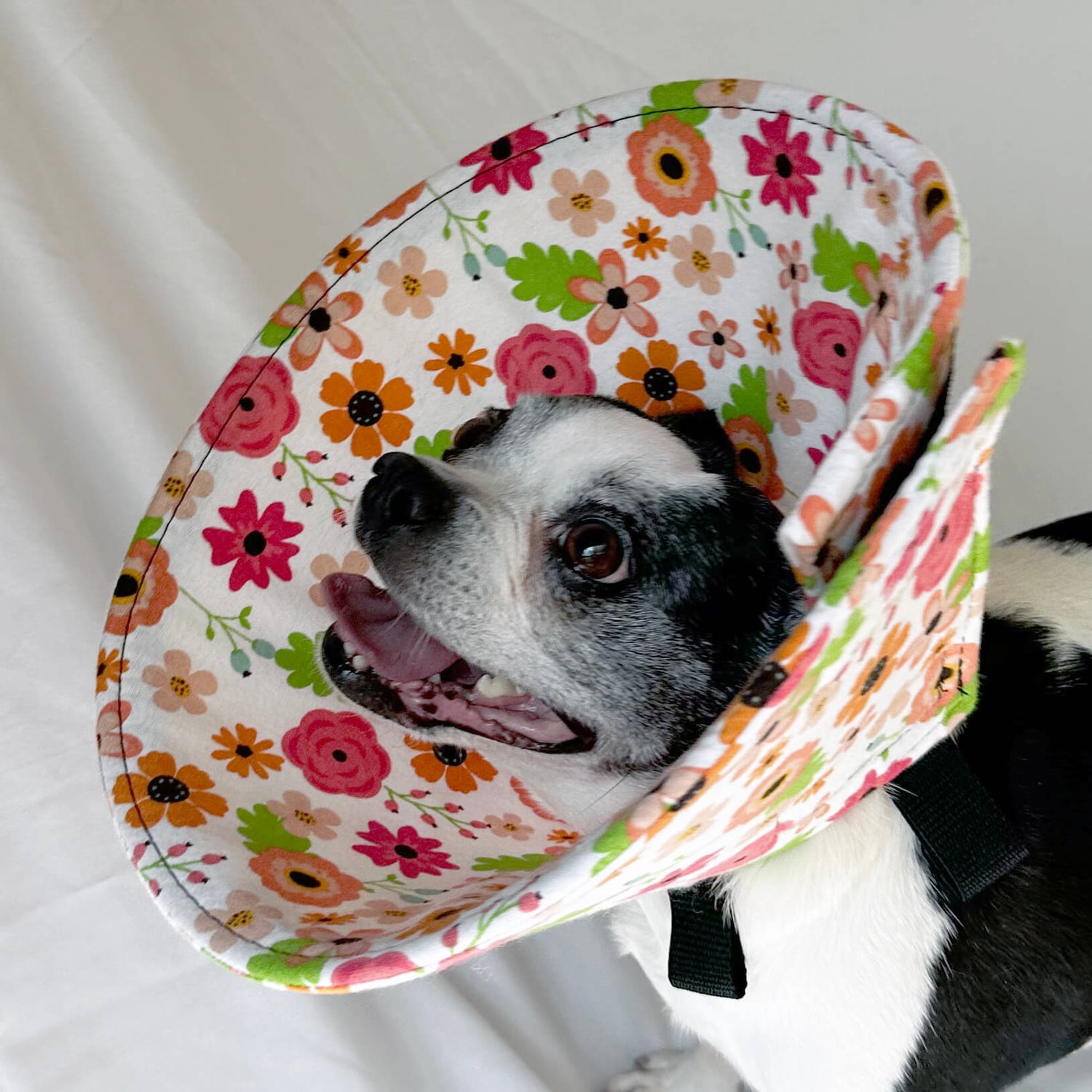 Retro Flowers - Flannel & Foam Soft Dog Cone