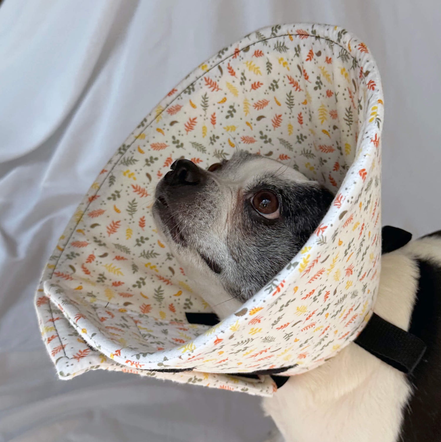 Tiny Leaves - Flannel & Foam Soft Dog Cone